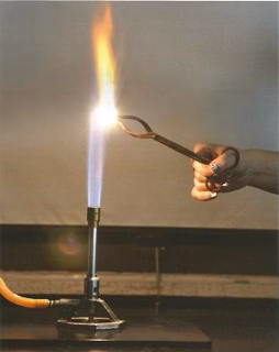 <p>2Mg<sub>(s)</sub> + O<sub>2(g)</sub> → 2MgO<sub>(s)</sub>     <span>ΔH &lt; 0     (combustion)</span></p><ul><li><p>Flame (heat energy) is required to overcome the relatively small activation energy barrier of the reaction.&nbsp;</p></li></ul><ul><li><p>Burning magnesium goes to completion (until magnesium strips are fully converted into magnesium oxide). It is an <em>irreversible reaction </em>because magnesium oxide is very stable at standard conditions. The activation energy of the reverse reaction (endothermic) is also much larger.</p></li></ul><p></p>