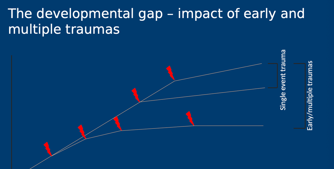 <p>earlier or multiple traumas have a larger impact on our life course compared to later or single event traumas</p>