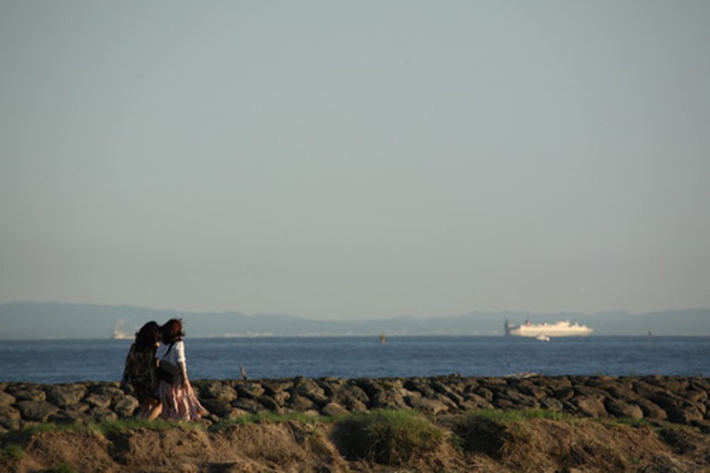 <p>Similar to levees but to prevent ocean waters from flooding coasts that are under sea level.</p>