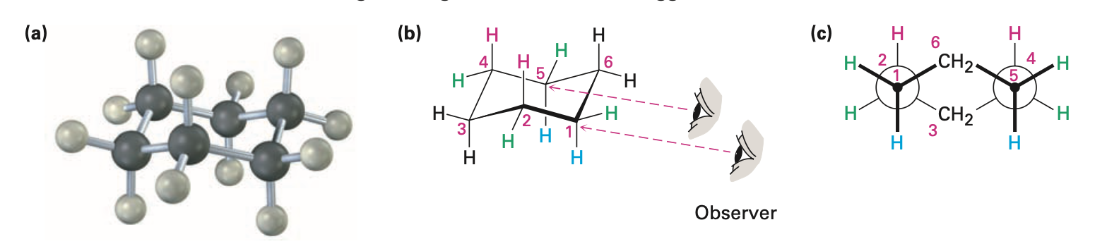<ul><li><p>adopts chair conformation</p></li><li><p>has neither angle strain nor torsional strain</p></li></ul><p></p>