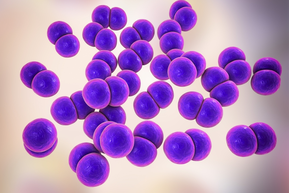 Antibiotics work 