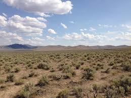 an arid climate