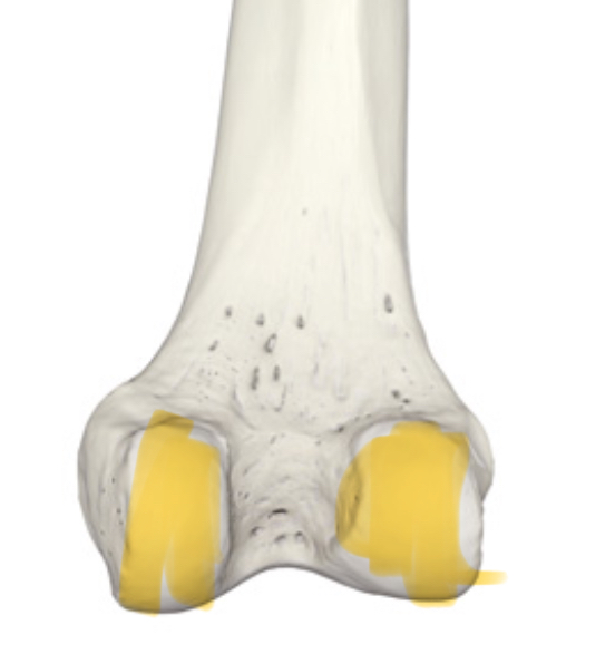 <p>Hoe heten deze delen?</p>