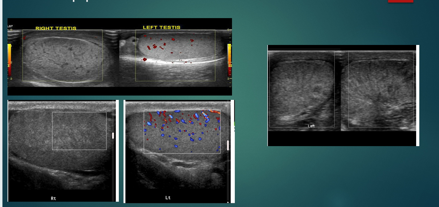 <p>what does the image show</p>