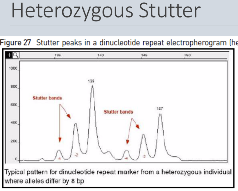 <p>What is a stutter</p>