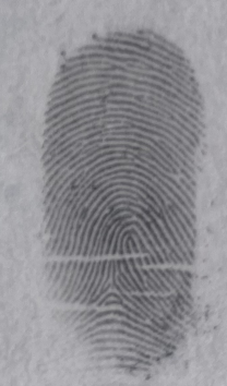 <p>right hand</p>
