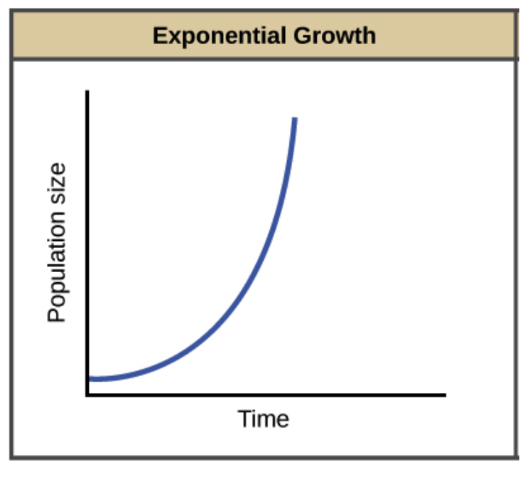 <p>dN/dt = rN</p><ul><li><p>resources not limited</p></li><li><p>instantaneous population growth (dN/dt) increases as the population increases (density independent growth) </p></li><li><p>r remains constant throughout the process</p></li><li><p>j shape </p></li></ul>