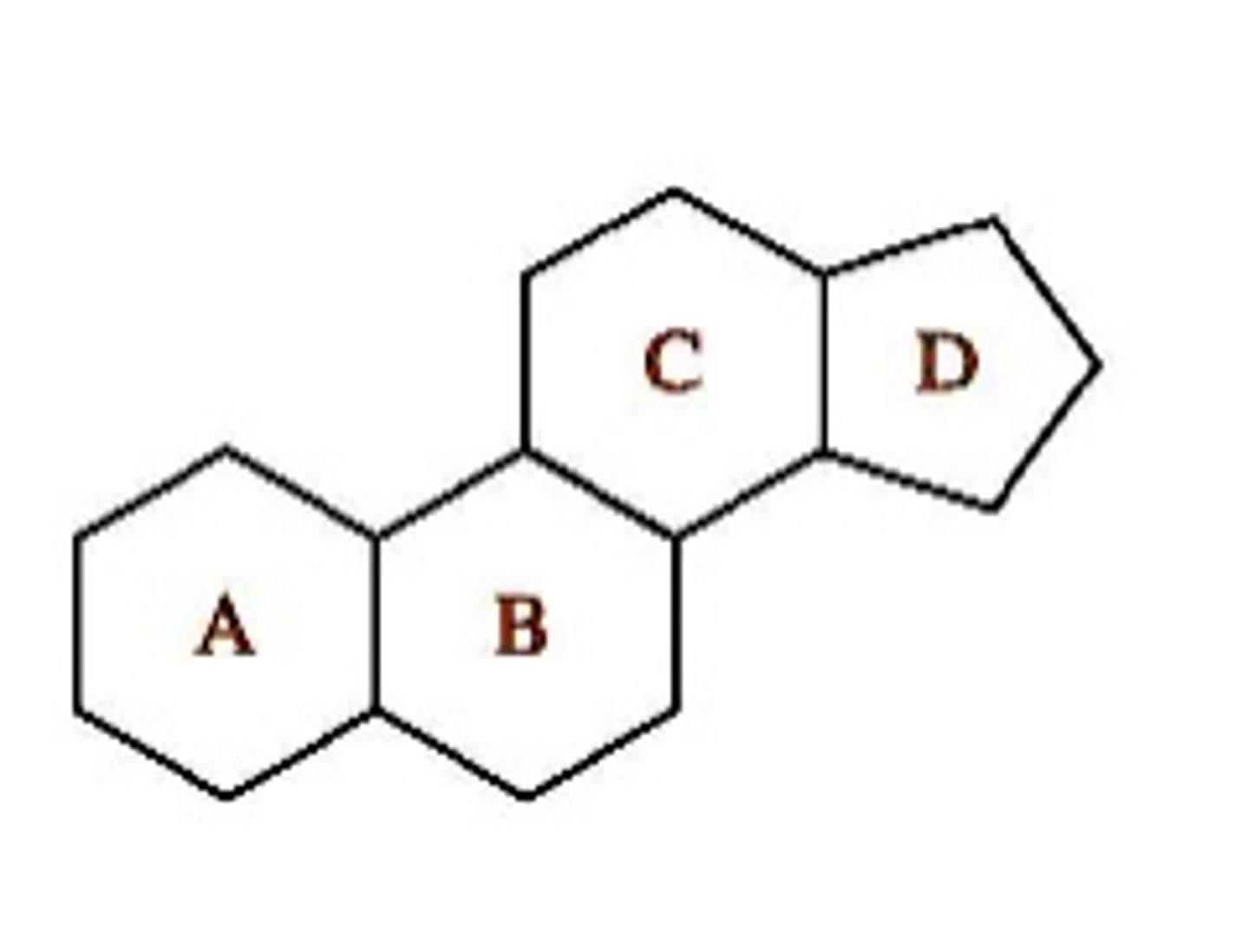 <p>- derived from the steroid nucleus</p><p>- fused ring system consisting of three 6-carbon rings, one 5-carbon ring</p><p>- Rigid structure Hydrophobic core</p>