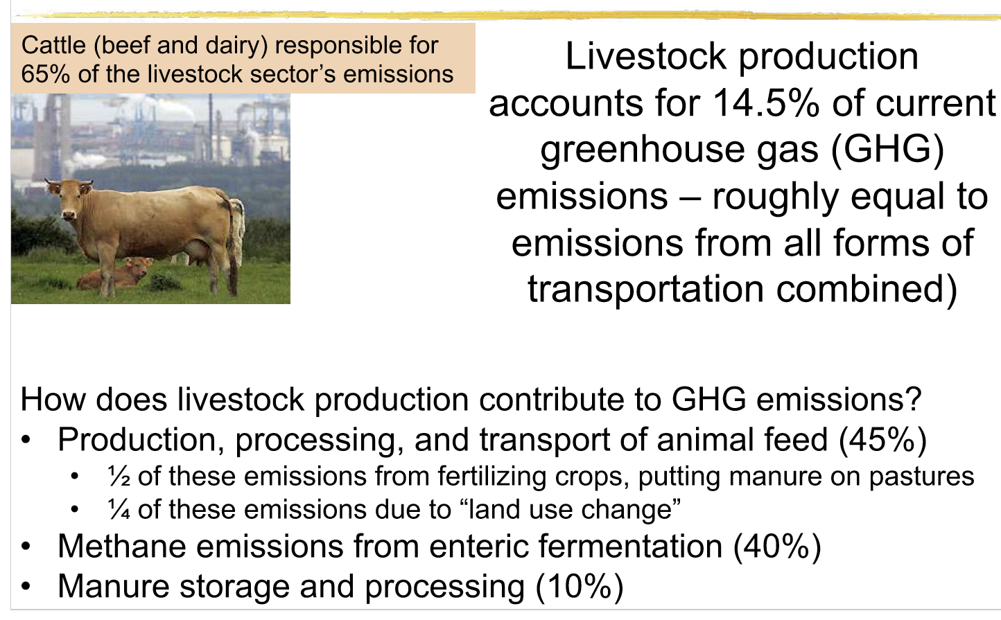 <p>livestock production accounts for 77% of agricultural land and 30% of land surface of the planet</p><ul><li><p>livestock provides 18% of food energy and 37% of protein</p></li></ul><p></p>