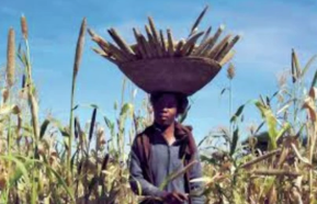 <p><span>a stage in the economic development model characterized by little foreign investment, high rates of subsistence farming, predominantly rural areas, and an economy that hasn’t begun development by modern metrics</span></p>