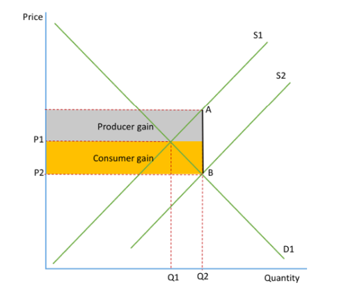 <p>A sum of money provided by the government to encourage production/consumption of a good or service.</p>