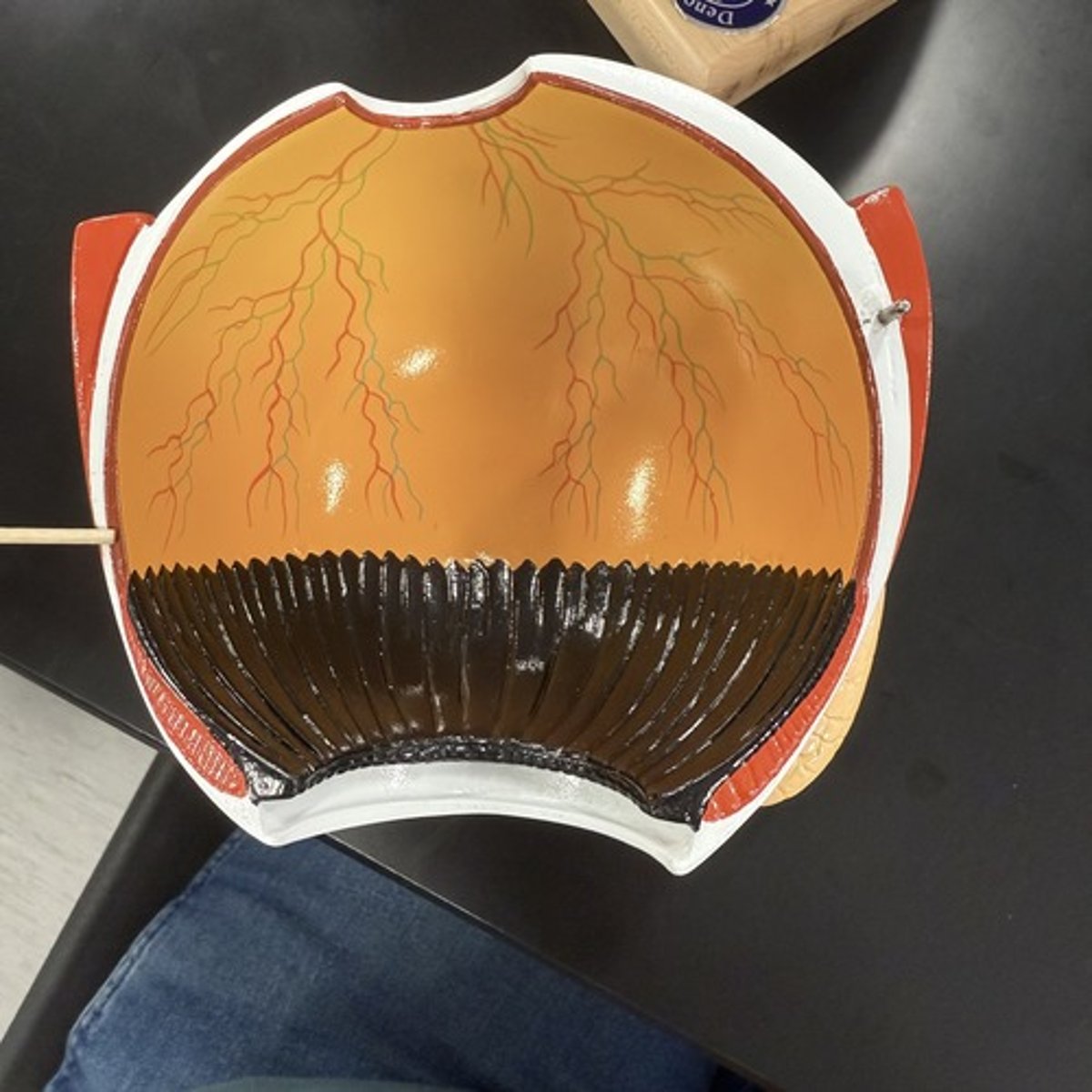 <p>What is this structure?</p>