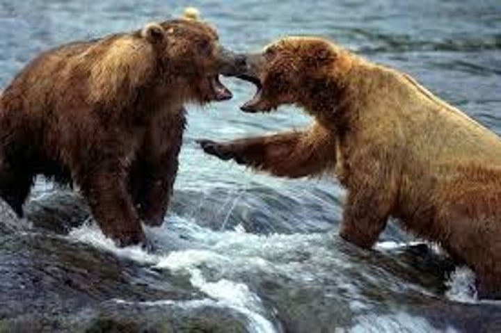 <p>Organisms compete for food, space, and other resources</p>