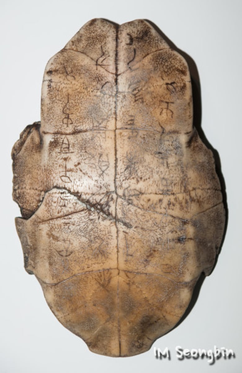 <p>animal bones carved with written characters which were used for telling the future</p>