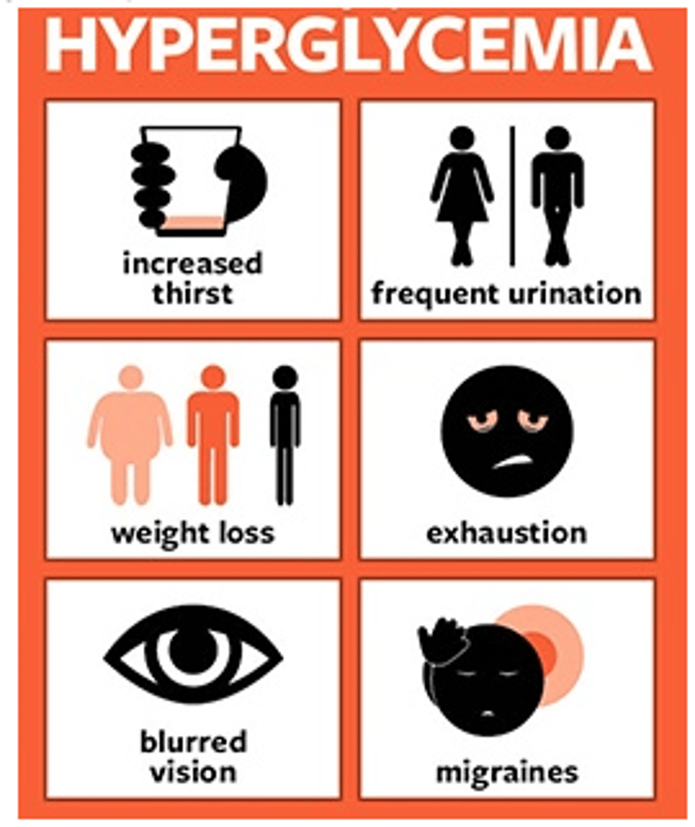 <p>- diuresis, excessive thirst (to try and dilute the sugar)</p><p>- fatigue, weakness</p><p>- blurry vision</p><p>- hunger even after a meal</p>
