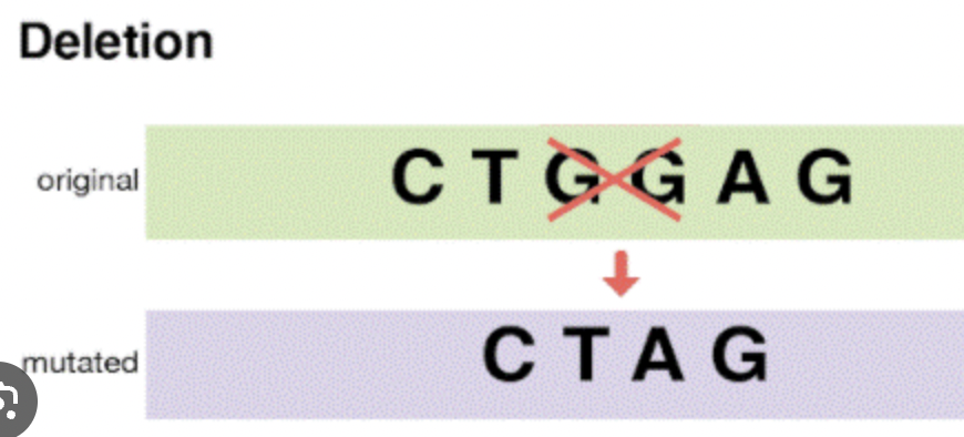 <p>Deletion Mutation </p>