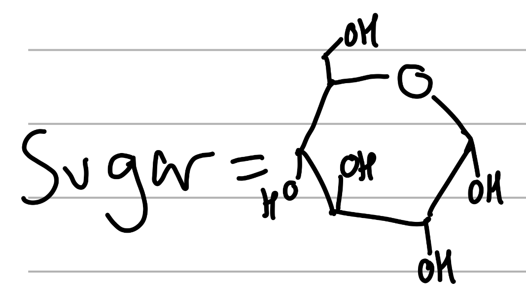 <p>4 main trans OHs, ether and MeOH next door ;</p><p>parent sugar</p>