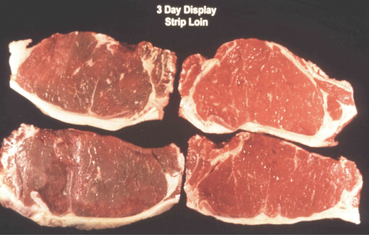 Feeding Vitamin E to Extend Shelf Life