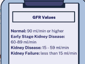 <p><span data-name="bulb" data-type="emoji">💡</span> <strong>Glomerular Filtration Rate (GFR) and Kidney Function</strong> <span data-name="check_mark_button" data-type="emoji">✅</span> <strong>Normal Kidney Function</strong>: </p><ul><li><p><strong>Healthy GFR</strong> = <strong>125 mL/min</strong> or <strong>180 L/day</strong></p></li><li><p>Peak kidney function occurs around <strong>age 18</strong></p></li><li><p><strong>Natural decline</strong> in GFR with aging is expected</p></li></ul><p> </p><div data-type="horizontalRule"><hr></div><p> <span data-name="chart_decreasing" data-type="emoji">📉</span> <strong>Decline in GFR</strong>: </p><ul><li><p>Slight decreases are normal with age</p></li><li><p><strong>Significantly low GFR</strong> = impaired kidney function</p></li></ul><p> </p><div data-type="horizontalRule"><hr></div><p> <span data-name="bar_chart" data-type="emoji">📊</span> <strong>GFR-Based Classification of Kidney Function</strong>: </p><table style="min-width: 50px"><colgroup><col style="min-width: 25px"><col style="min-width: 25px"></colgroup><tbody><tr><th colspan="1" rowspan="1"><p><strong>GFR (mL/min)</strong></p></th><th colspan="1" rowspan="1"><p><strong>Kidney Status</strong></p></th></tr><tr><td colspan="1" rowspan="1"><p>≥ 90</p></td><td colspan="1" rowspan="1"><p>Normal (if no damage present)</p></td></tr><tr><td colspan="1" rowspan="1"><p>60–89</p></td><td colspan="1" rowspan="1"><p>Mild decrease</p></td></tr><tr><td colspan="1" rowspan="1"><p>30–59</p></td><td colspan="1" rowspan="1"><p>Moderate decrease</p></td></tr><tr><td colspan="1" rowspan="1"><p>15–29</p></td><td colspan="1" rowspan="1"><p>Severe decrease</p></td></tr><tr><td colspan="1" rowspan="1"><p><strong>< 15</strong></p></td><td colspan="1" rowspan="1"><p><strong>Kidney failure</strong></p></td></tr></tbody></table><p> </p><div data-type="horizontalRule"><hr></div><p> </p><p><span data-name="pushpin" data-type="emoji">📌</span> <strong>Key Point</strong>:<br>A GFR <strong>< 15 mL/min</strong> indicates <strong>kidney failure</strong>, and urgent medical intervention is typically required.</p>