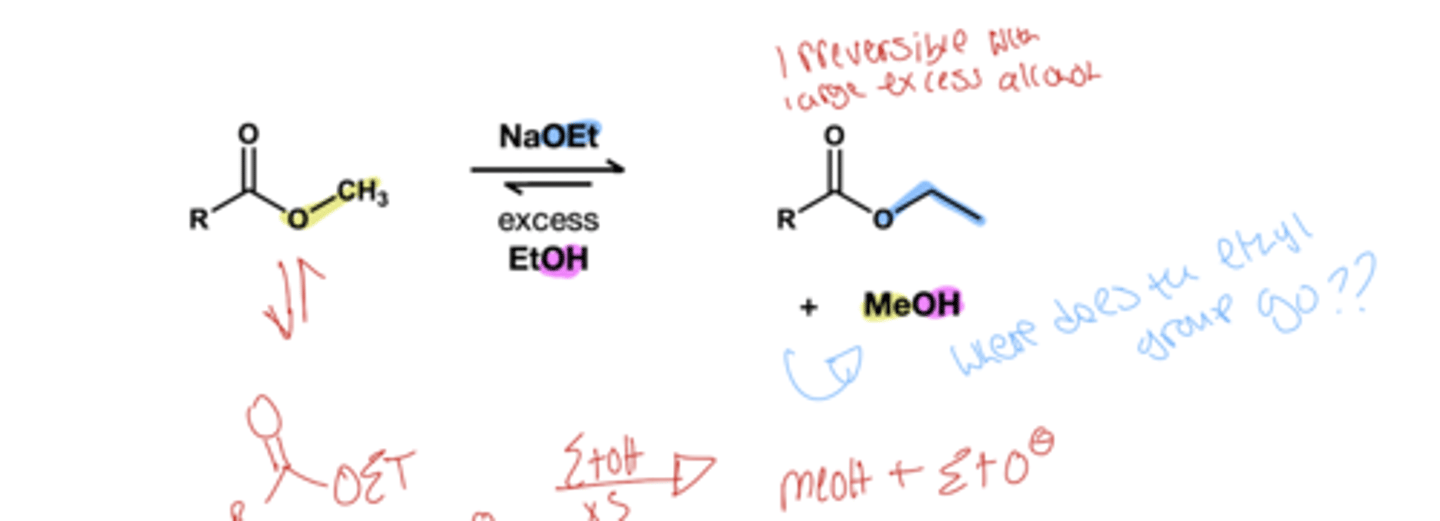 <p>ROH(xs)/ NAOR which can be NaOEt or NaOME</p>
