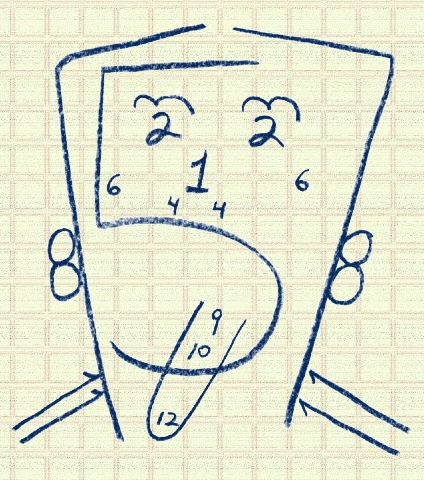 <p>-1 gave wif - sensory nerve - <strong>olfactory </strong>is the way</p><p>-second nerve helps me see right - central peripheral sight central peripheral sight sensory nerve for eye <strong>Optic nerve </strong>is the way</p><p>-pupils constricting, third nerve eyes are moving, prevents eyelid drooping <strong>oculomotor </strong>nerve baby</p><p>-the <strong>trochlear </strong>nerve works the superior oblique this is the fourth nerve. Hard to look down if it’s weak</p><p>-<strong>trigeminal </strong>nerve works mastificaiton, deals with sensory and motor, deals with face sensation</p><p>-<strong>abducent </strong>is the sixth, does eye abduction, motor nerve for motion, helps prevent double vision</p><p>-<strong>facial </strong>is the 7th, does facial expression, it’s sensory and motor, 2/3 of taste sensation</p><p>-<strong>Vestibulocochlear </strong>is the 8th, body balancer, used for the ear, sound sensor </p><p>-<strong>Glossopharyngeal nerve, </strong>senses taste from the 1/3 back of the tongue, the 9th it helps us swallow hey </p><p>-tenth nerve is <strong>vagus, </strong>lets us speak and say stuff, it’s sensory and motor, baby </p><p><strong>Accessory nerve - </strong>is the 11th, so shrug your shoulders, and test head resistance </p><p><strong>-</strong>the <strong>hypoglossal nerve, </strong>is the twelfth nerve, deals with tongue movement,  </p><p></p>