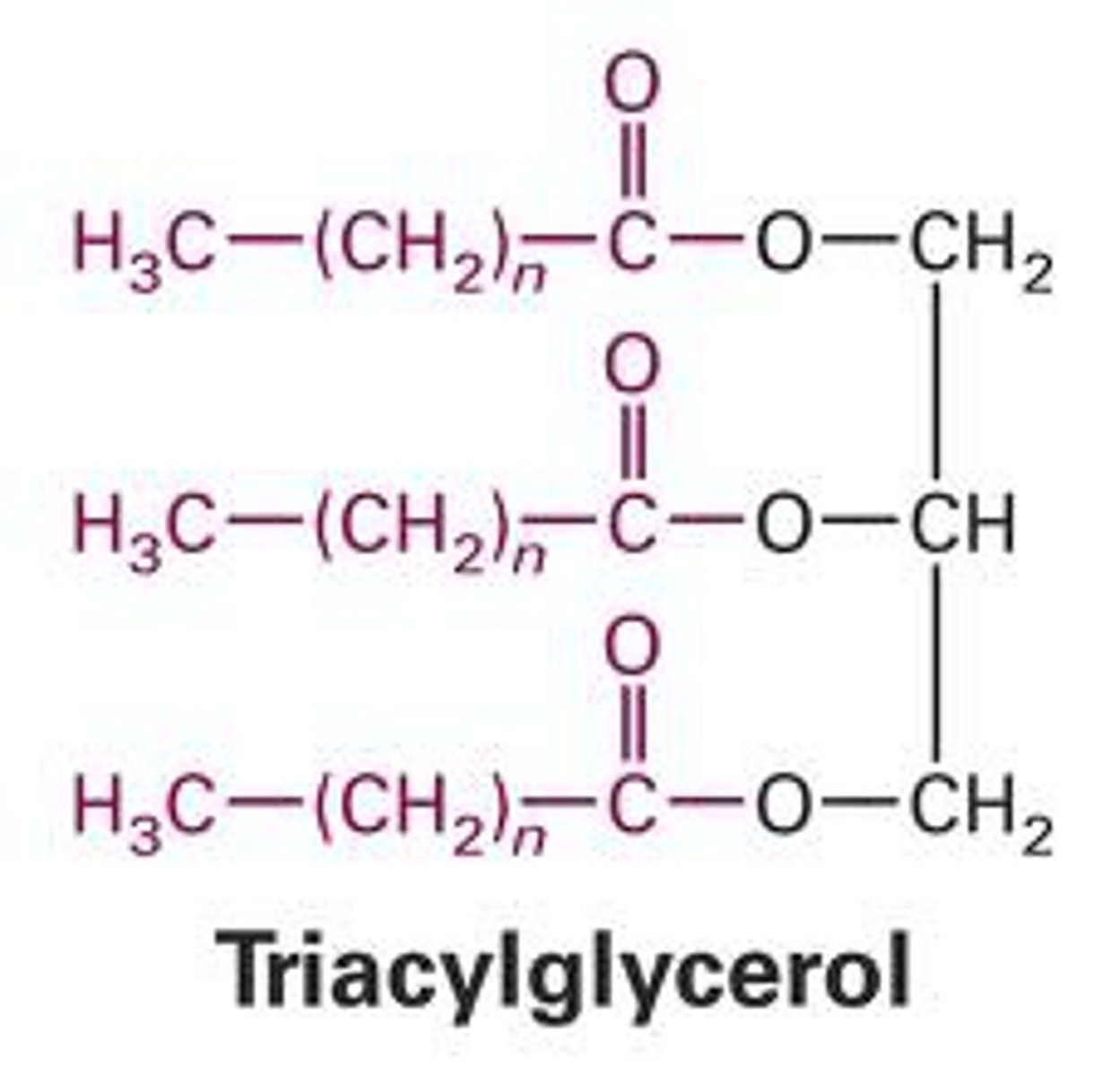 <p>A lipid's chemical structure looks like a backwards upper case "E".</p>