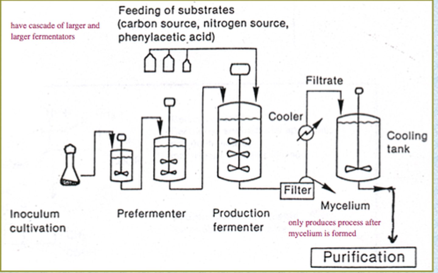 <p>Contains:</p><p>-stirrer to allow fungi to have access to oxygen and nutrients</p><p>-air supply to provide oxygen for respiration</p><p>-water jacket to maintain constant temperature as respiration creates heat</p><p>-probes to monitor pH and temperature levels</p>