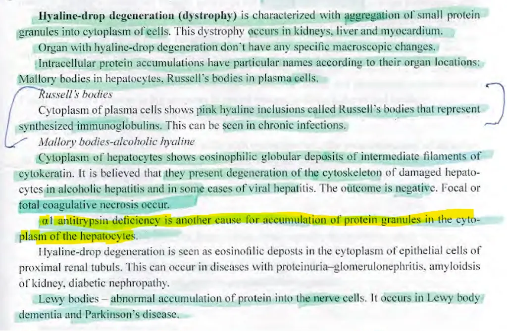 <p><strong><span>The abnormal inclusions in the hepatocytes in alpha-1 antitrypsin deficiency are composed of:</span></strong> </p><p>a) glycogen </p><p>b) lipids </p><p>c) bile </p><p><strong>d) proteins</strong></p>