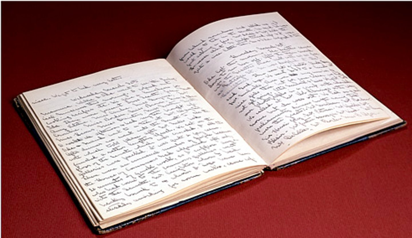 <p>diary</p>
