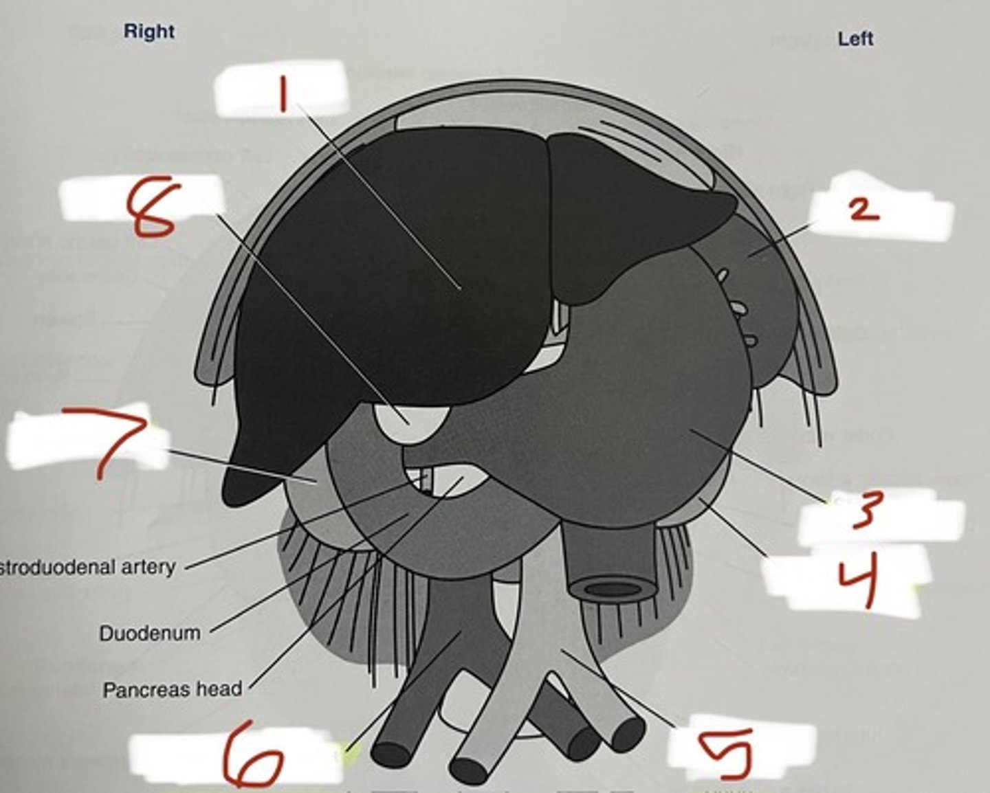 <p>5</p>