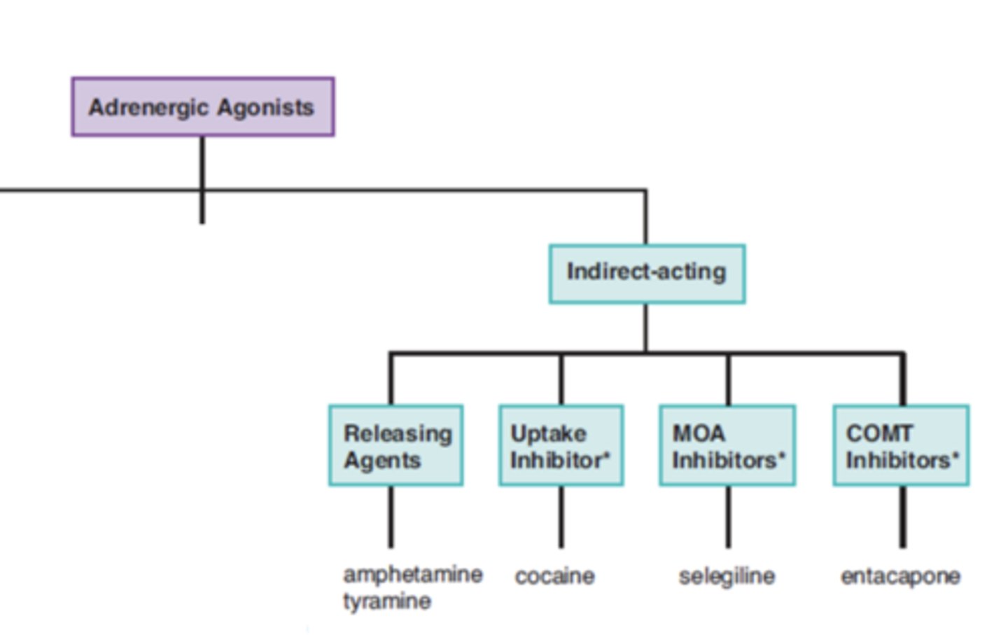 <p>- releasing agents</p><p>- uptake inhibitor</p><p>- MOA inhibitors</p><p>- COMT inhibitors</p>