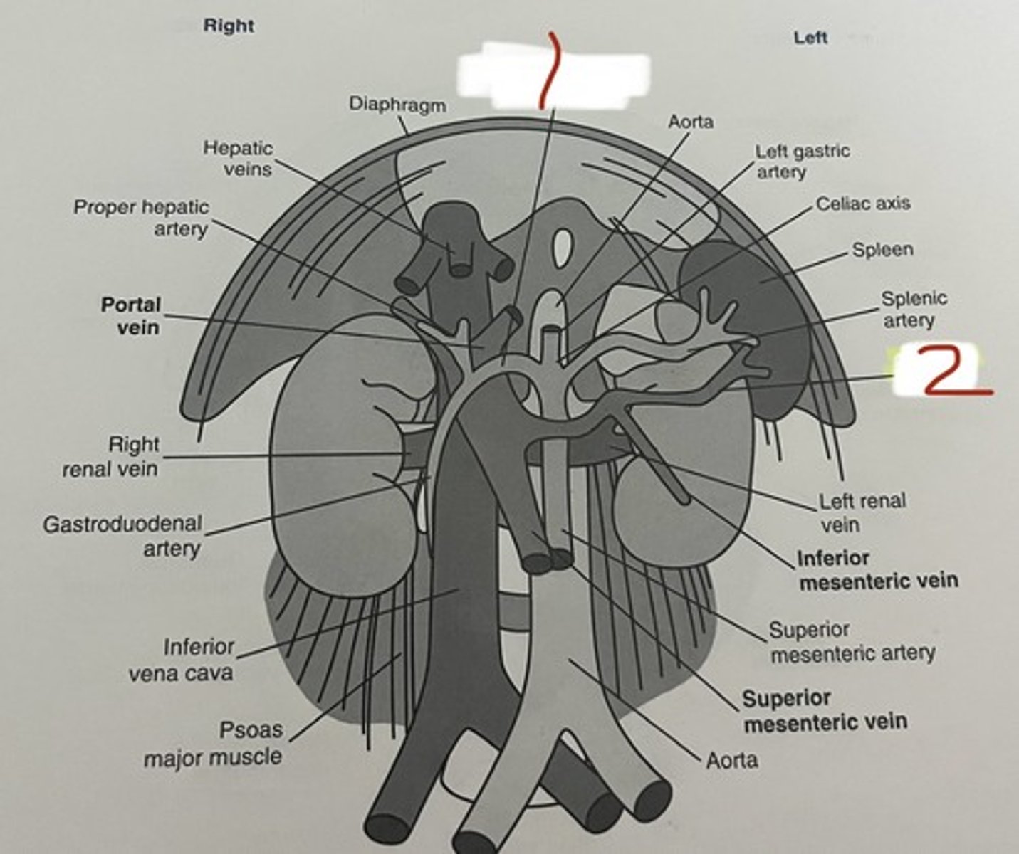 <p>2</p>