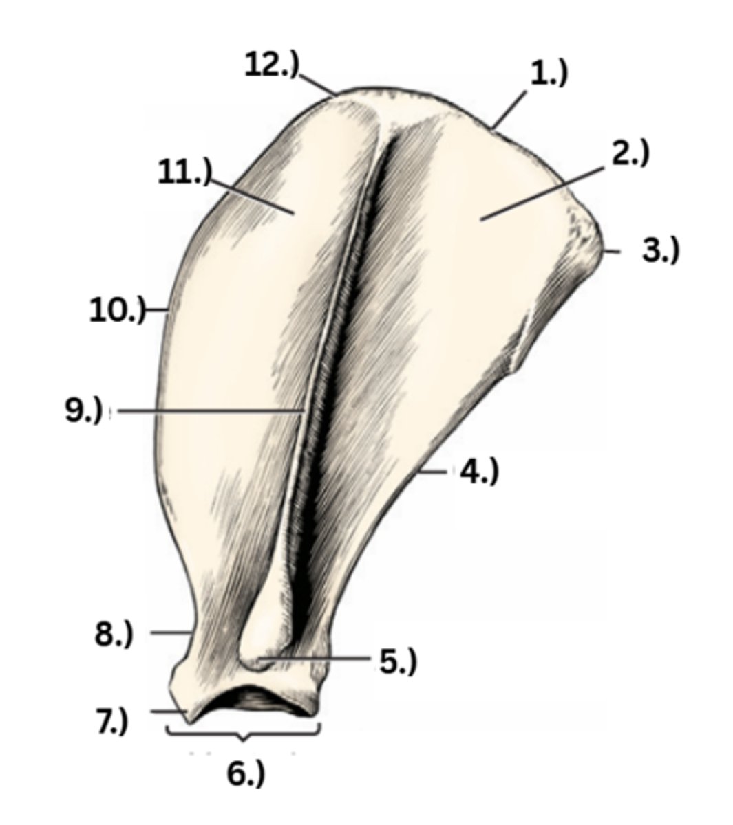 <p>9</p>