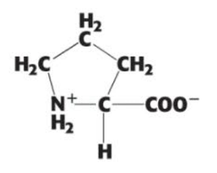 <p>(Pro, P). non-polar, aliphatic</p>