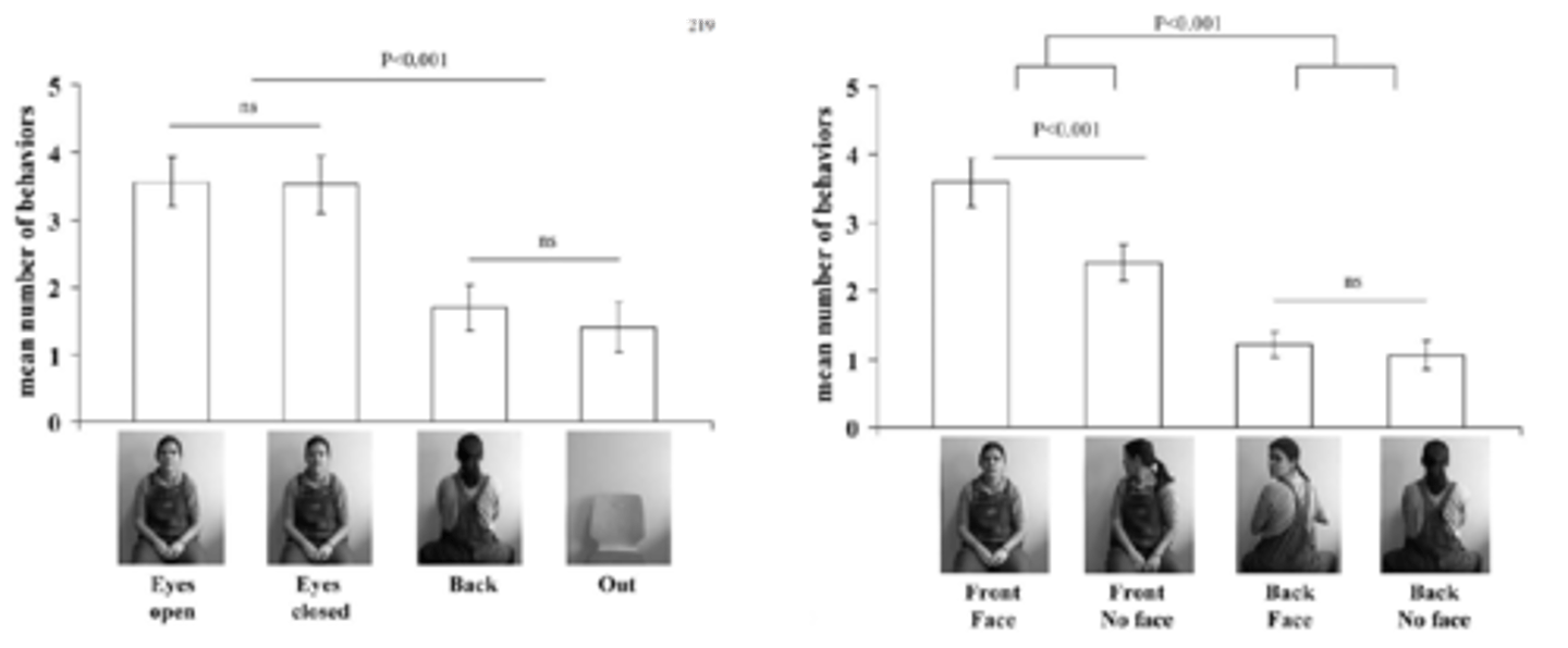 <p>The chimps begged more when they were being 'watched' - no begging when they were facing behind, but begging when they were facing forward regardless of whether humans eyes were closed or not. - not sensitive to open/closed eyes. </p>