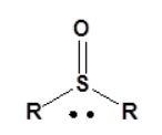 <p>Sulfoxide</p>