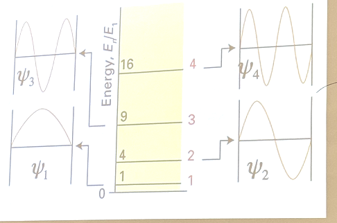 <p>The figure below shows the 4 lowest energy wavefunctions Ψ<sub>1, </sub>Ψ<sub>2, </sub>Ψ<sub>3, </sub>Ψ<sub>4</sub> for a particle in a one dimensional box. Which wavefunctions give the max probability density at the very center of the box.</p>