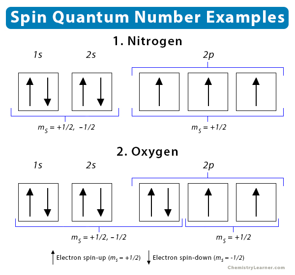 an integer describing the spin of electrons in the orbital, (-1/2 or +1/2 only). Each orbital can hold 2 electrons, one +1/2, and one -1/2.