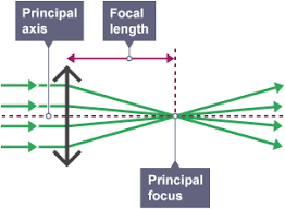 <ul><li><p>makes parallel light ray converge to a focus</p></li><li><p>the principal focus lens shows you where it will focus the parallel light rays</p></li><li><p>a clear, distinct image of a distant object will be formed from a converging lens</p></li></ul><p></p>