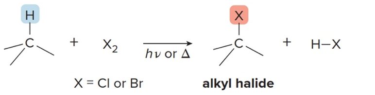 <p>A halogen (like Cl₂ or Br₂) replaces a hydrogen atom in an alkane</p>
