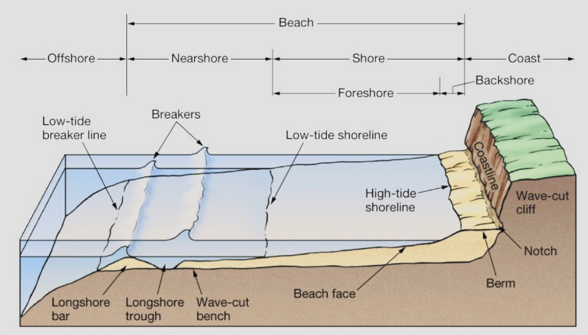 <p>The nearshore and shore</p>