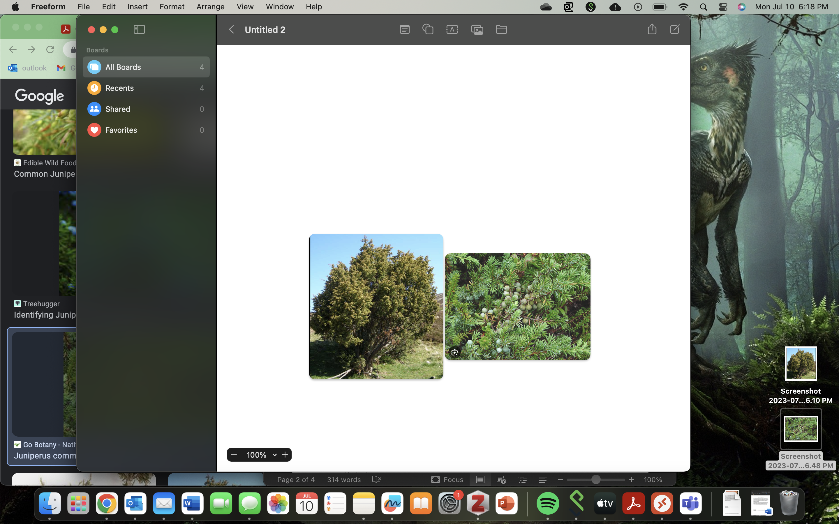 knowt flashcard image