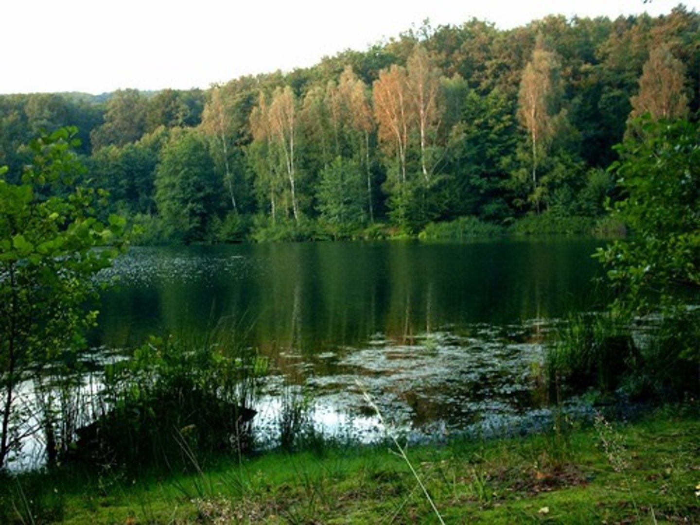 <p>ˈnætʃ·ər·əl/ (adj): tự nhiên</p>