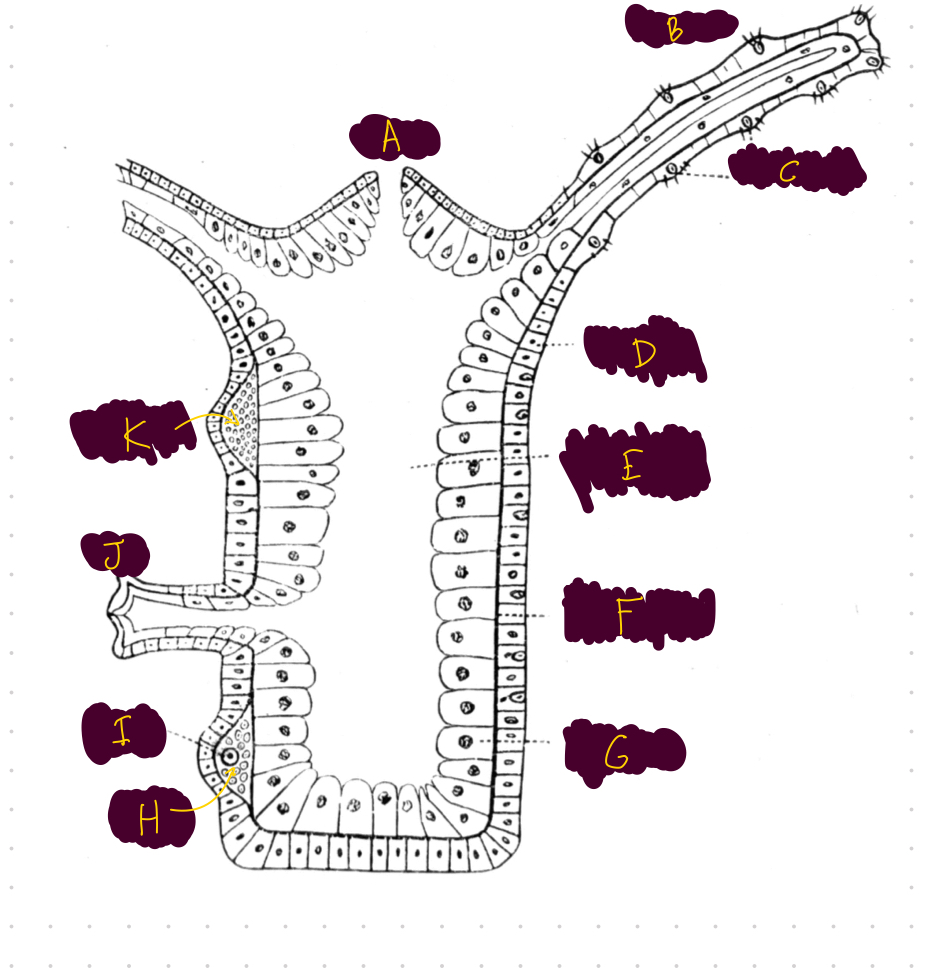 <p>What is E?</p>