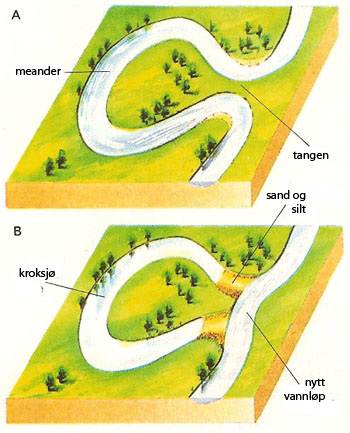 <p>En kroksjø er et tjern eller en grunn innsjø dannet ved avsnøring av en krapp elveslyng (meander). Eldre kroksjøer kan være gjengrodd til myr.</p>