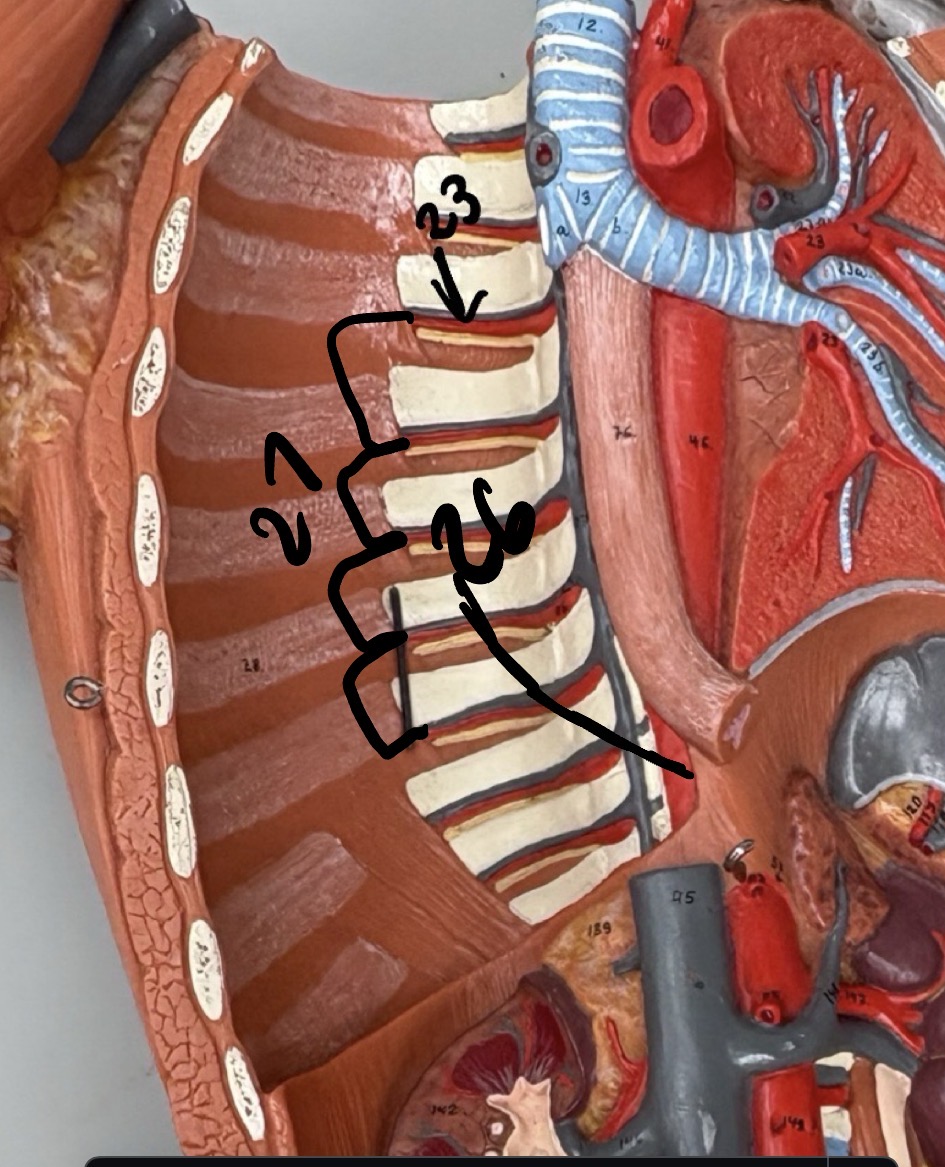 <p>27</p>