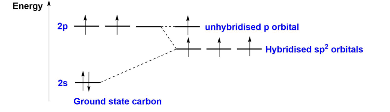 <p>A type of hybridisation where one s-orbital and two p-orbitals combine to form three equivalent sp<sup>2</sup> hybrid orbitals, arranged in a trigonal planar shape (120<span>°) </span>around the central atom, with the unhybridised p-orbital perpendicular.</p><ul><li><p>This occurs when an atom bonds to 3 other atoms.</p></li></ul><p></p>