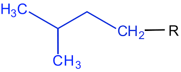 <p>2-methylbutyl</p>