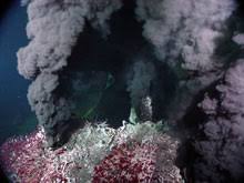 <ul><li><p>hottest</p></li><li><p>darkest plumes</p></li><li><p>high in sulfur</p></li><li><p>can form chimneys (vents) up to 18 stories tall</p></li></ul><p></p>