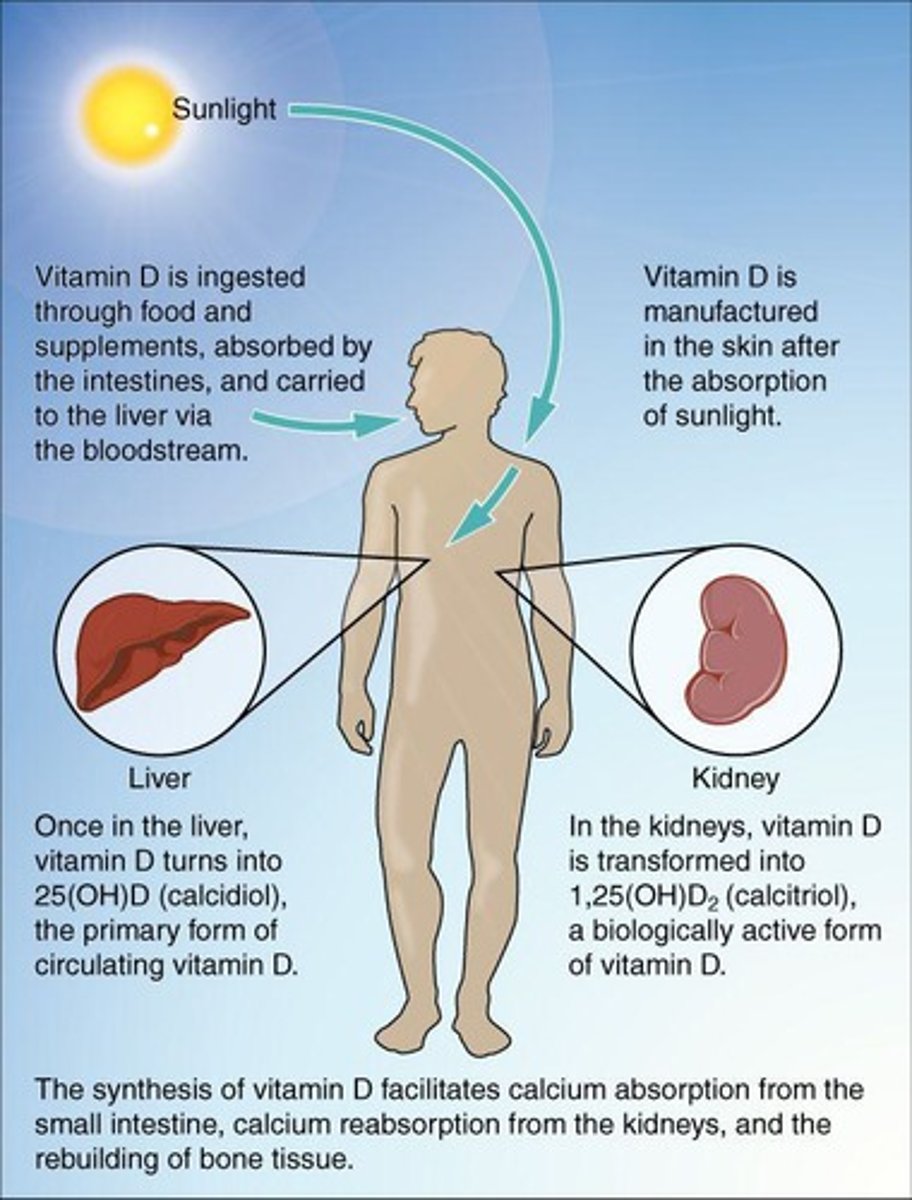 <p>Dietary calcium absorption requires Vitamin D.</p>